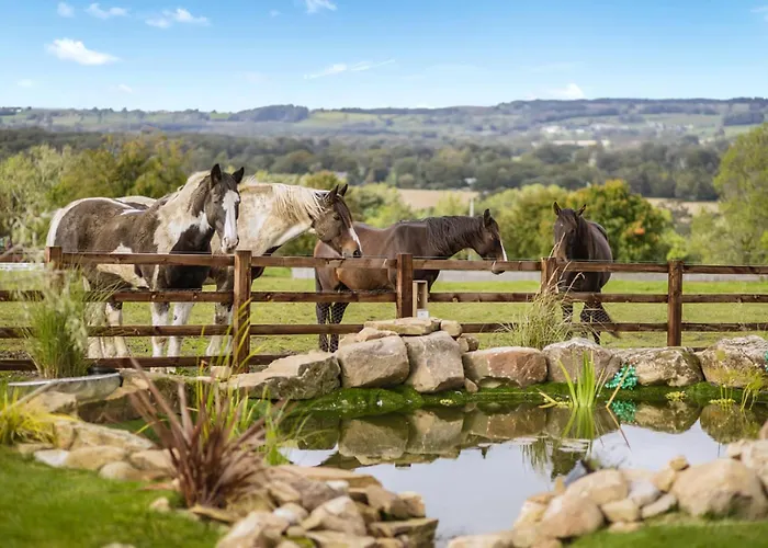 منتزه العطل Sun Hill