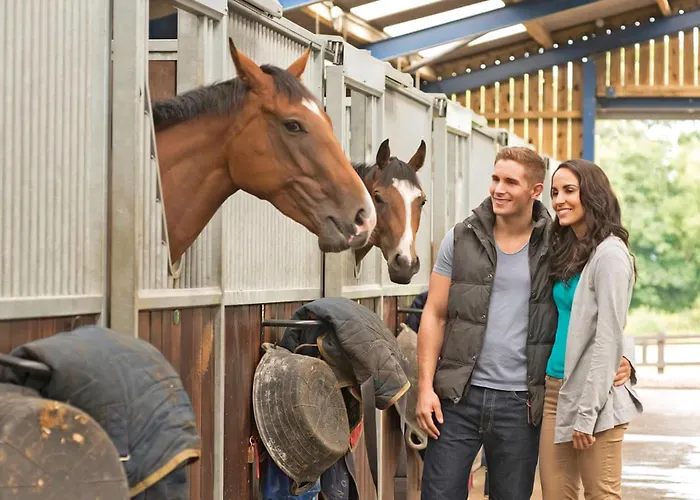 منتزه العطل Sun Hill *