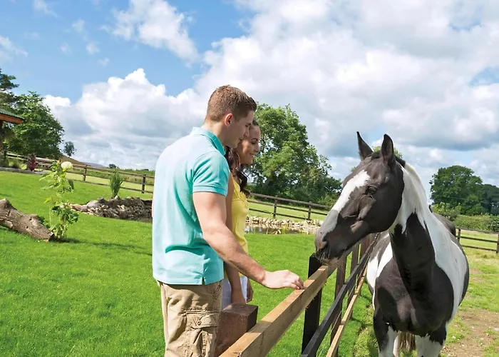 Sun Hill منتزه العطل Constable Burton