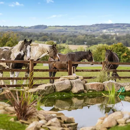 Semesterpark Sun Hill